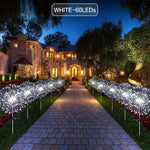 Outdoor Solar Garden Lights with 8 Lighting Modes